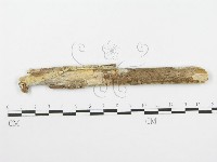 登錄號:F0020465藏品圖，第1張