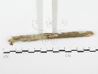 登錄號:F0020465藏品圖，第3張