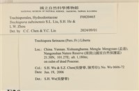登錄號:F0020465藏品圖，第5張