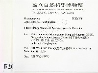 登錄號:F0020468藏品圖，第2張