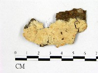 登錄號:F0020468藏品圖，第1張