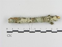 登錄號:F0020469藏品圖，第1張