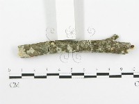 登錄號:F0020469藏品圖，第4張