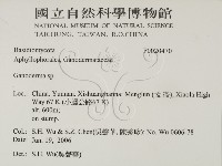 靈芝屬藏品圖，第2張