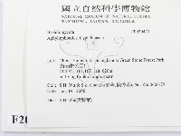 登錄號:F0020471藏品圖，第2張