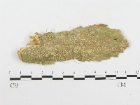 登錄號:F0020471藏品圖，第1張