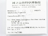 登錄號:F0020473藏品圖，第2張
