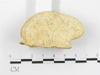 登錄號:F0020473藏品圖，第4張