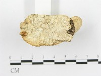 登錄號:F0020473藏品圖，第5張