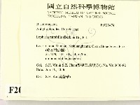 登錄號:F0020474藏品圖，第2張