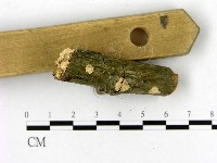 登錄號:F0020474藏品圖，第3張
