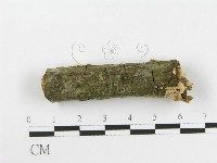 登錄號:F0020474藏品圖，第4張