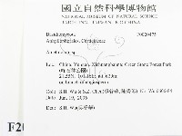 登錄號:F0020475藏品圖，第2張