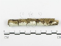 登錄號:F0020475藏品圖，第1張