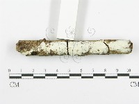 登錄號:F0020475藏品圖，第3張