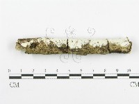 登錄號:F0020475藏品圖，第4張