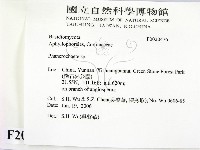 顯絲菌屬藏品圖，第2張