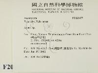 炭角菌屬藏品圖，第2張