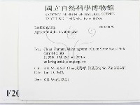 登錄號:F0020479藏品圖，第2張
