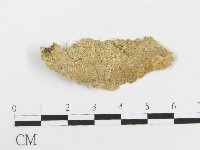 登錄號:F0020479藏品圖，第1張
