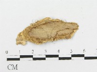 登錄號:F0020479藏品圖，第3張