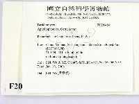 登錄號:F0020480藏品圖，第2張