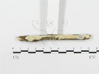 登錄號:F0020480藏品圖，第3張