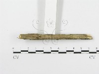 登錄號:F0020480藏品圖，第5張