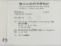 絲皮菌屬藏品圖，第2張