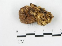 登錄號:F0020484藏品圖，第1張