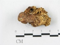 登錄號:F0020484藏品圖，第3張