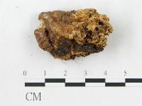登錄號:F0020484藏品圖，第4張