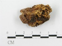 登錄號:F0020484藏品圖，第5張