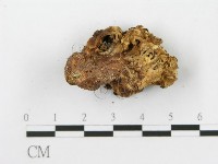 登錄號:F0020484藏品圖，第6張
