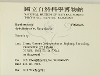 登錄號:F0020486藏品圖，第2張