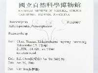 登錄號:F0020487藏品圖，第2張