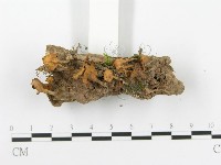 登錄號:F0020487藏品圖，第3張