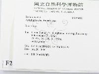 登錄號:F0020488藏品圖，第2張
