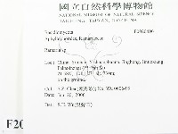 登錄號:F0020490藏品圖，第2張