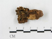 登錄號:F0020490藏品圖，第1張