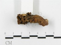 登錄號:F0020490藏品圖，第4張