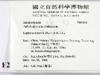 登錄號:F0020491藏品圖，第2張