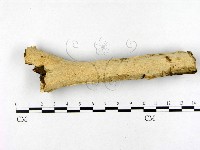 登錄號:F0020491藏品圖，第1張