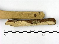 登錄號:F0020491藏品圖，第3張