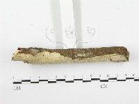 登錄號:F0020491藏品圖，第6張