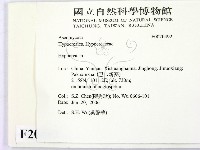 登錄號:F0020492藏品圖，第2張