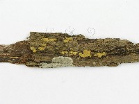 登錄號:F0020492藏品圖，第4張