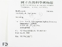 登錄號:F0020493藏品圖，第2張