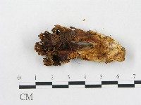 登錄號:F0020493藏品圖，第3張