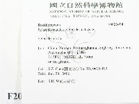登錄號:F0020494藏品圖，第2張